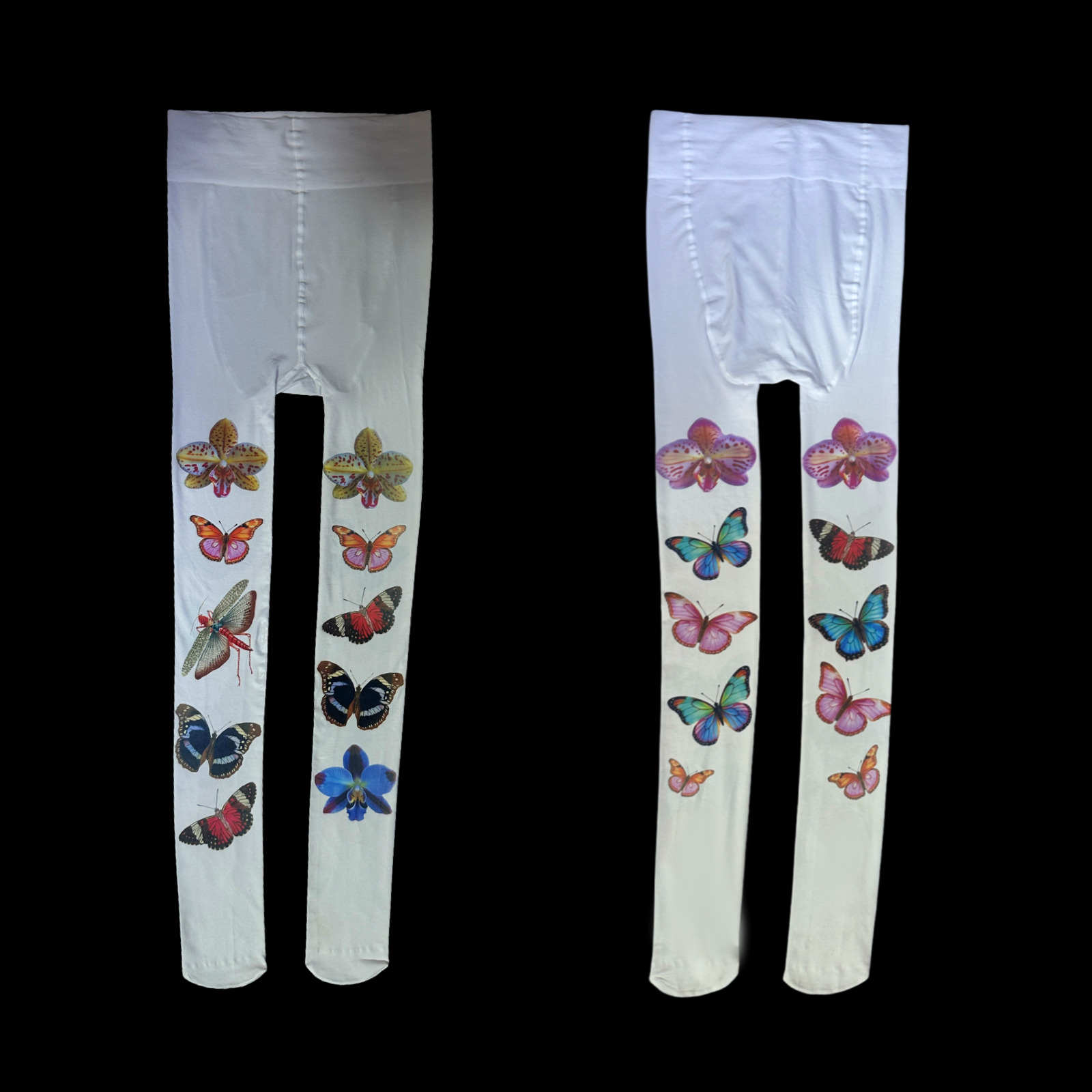 Bugs Butterflies Orchids