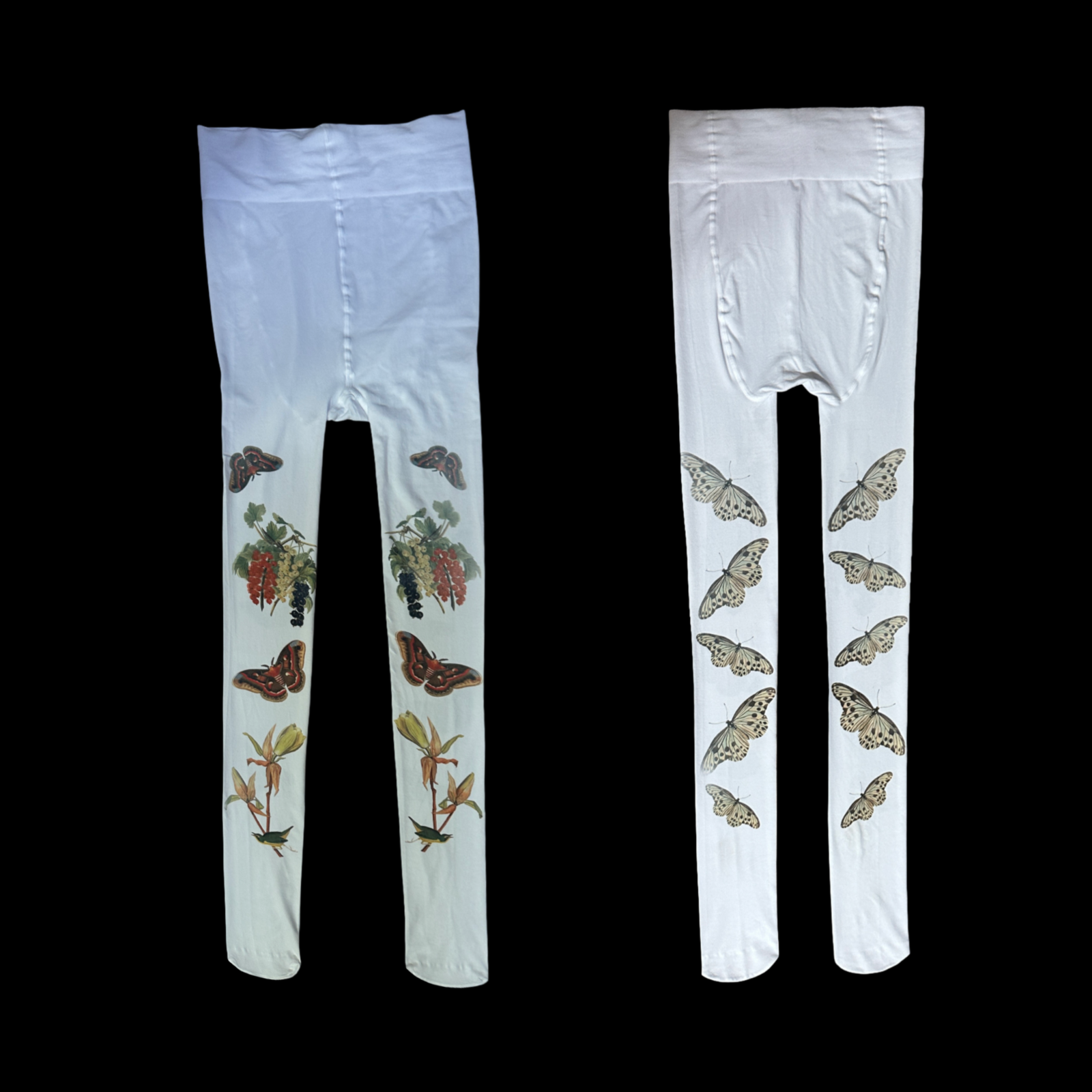 Birds Berries Butterflies